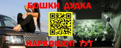 прущие грибы Татарск