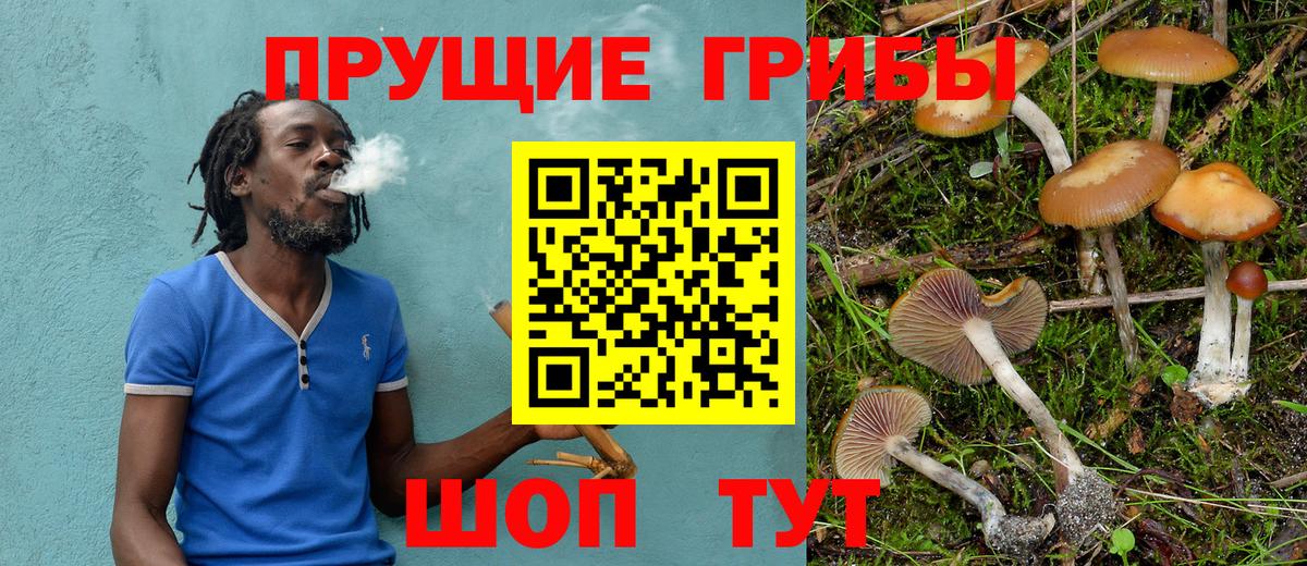 Псилоцибиновые грибы Cubensis Отрадный